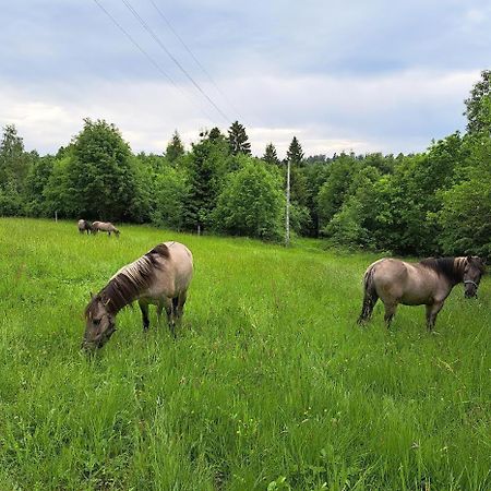Sudecka Chata Bystrzyca Kłodzka Exteriér fotografie