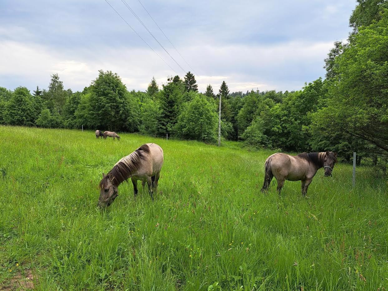 Sudecka Chata Bystrzyca Kłodzka Exteriér fotografie